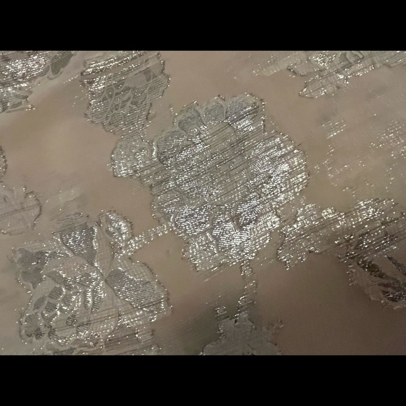 Sheer w/ silk Babaton Tank Top - Picture 2 of 3